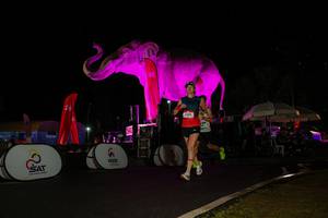 BIB: 
                            <button type="button" onclick="openModal(26543836)" class="btn btn-primary btn-sm float-right btn-popup" data-toggle="modal" data-target=".modal-high-quality">
                        <i class="fas fa-shopping-cart"></i> Add to Cart
                    </button>
                                            <button type="button" onclick="isThisMe(26543836, true)" class="btn btn-success btn-sm float-right btn-popup btn-isme hidden" data-toggle="tooltip" data-placement="bottom" title="นี่คือรูปของคุณใช่ไหม คลิกที่นี่เพื่อเอาเข้าอัลบั้ม">
                        <i class="fas fa-plus"></i> Add to album
                    </button>
                    <button type="button" onclick="isThisMe(26543836, false)" class="btn btn-warning btn-sm float-right btn-popup btn-isnotme hidden">
                        <i class="fas fa-ban"></i> Remove from album
                    </button>